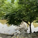 덕유산계곡펜션 이미지