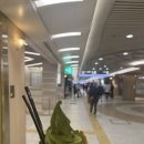 이티상점 | 다녀온 48시간 일본 오사카 먹방여행 1(호라이551만두, 말차아이스크림,규카츠교토카츠규,코이티밀크티)