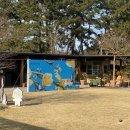 목련쉼터 | 태안 천리포수목원 | 목련축제 봄꽃축제 목련 개화상황