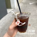 시드니 여행일기 ☁︎ 흐려도 괜찮아 〰️ 〰️