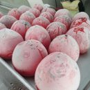 감나무집 농원펜션 이미지