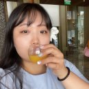 400080 | [공지] 세부 막탄 쉐라톤 리조트 조식 포함 상세 후기‼️ 막탄에서 공항가는법까지