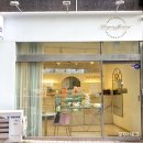 디자인바이데이즈