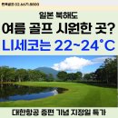 CC 호텔 티스토리