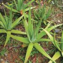 네오비뇨기과의원 이미지