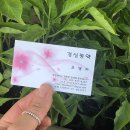 경신농장 이미지