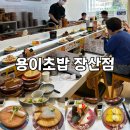 세종월드프라자 B동 뒤 | 해운대 좌동 용이초밥 | 장산 회전초밥 맛집 솔직후기 (가성비 끝판왕)