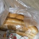 흥미진진 영어 성경교실 | 이집트 바하리야 사막 투어 후기｜블랙 데저트·크리스탈 마운틴·아가벳 밸리·샌드 듄, 사막에서 1박...