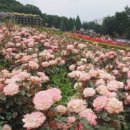 성곡로57번길 이미지