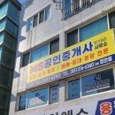 MS 행정사 사무소 이미지