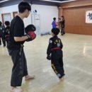 국술원 합기도 제일도장 이미지