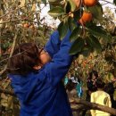 황등초등학교 이미지