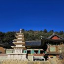 평창 상원사 문수전 목조동자상(3구) | [ 오대산 상원사 ] 힘들게 올라간만큼.. 마음이 고요해지는 오대산 사찰