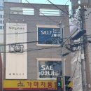 새뛰637