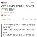 OTT·유튜브에 뺏긴 관심, TV는 '대작'에만 몰린다 이미지