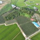 거성농원 이미지