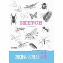 더스케치