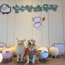 보리목장2 이미지
