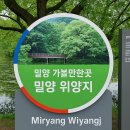 밀양 가볼만한곳 밀양위양지, 이팝꽃은 졌지만 자연은 여전히 살아있다 (Miryang Wiyangji 후기)