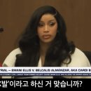 폭행죄 무죄 받은 카디비 법정에서 욕설 싸움 재연 영상.GIF 이미지