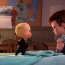 강아지분양 퍼피베이비 이미지