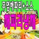 해파리몰