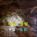 하당성당 이미지