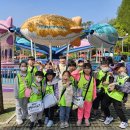 경희대강찬태권도 이미지