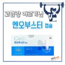 서면다정약국 이미지