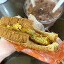 지호네토스트