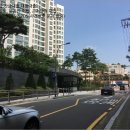 강남-276 이미지