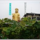 하늘보배 Daum카페