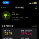 사하라요가