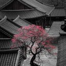 백작크리닝 이미지