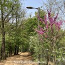 신림근린공원 화장실 이미지