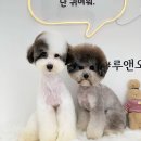 루앤오 이미지