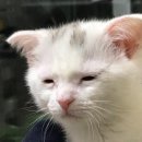 서울휴병원 | 병원일기2탄 서울아산병원 진료, 입원, 수술, 퇴원 후기