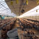 박준호농장 이미지