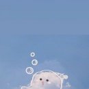 그린브라운 이미지