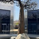 수향목장 이미지