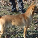 대둔산주유소 이미지