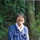 영화나무 이미지