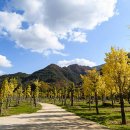 정선하늘터 이미지