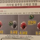 수피아스킨케어