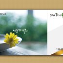 스파정자