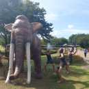 전곡읍-16 이미지