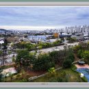 도시의 아침 이미지