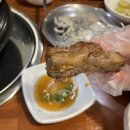 쪽신 이미지