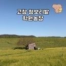 석정농장 | 5월 봄 고창여행 청보리밭 학원농장 입장료부터 포토존까지