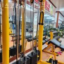 코리아헬스클럽 이미지